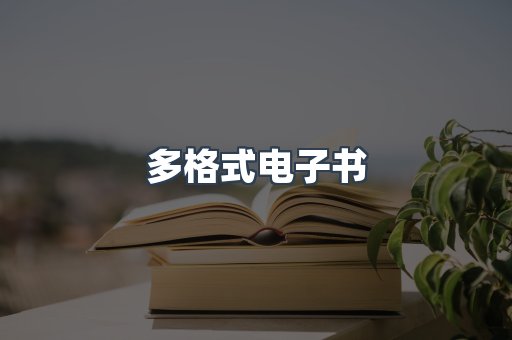 多格式电子书
